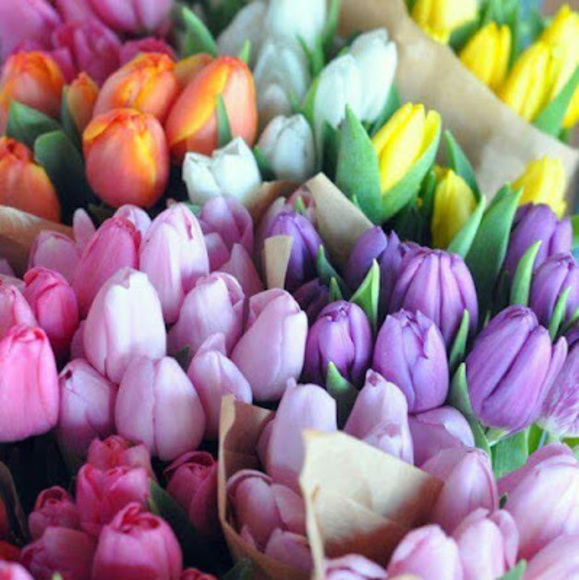 Meet your Posher, Pam - Picture 1 of 1